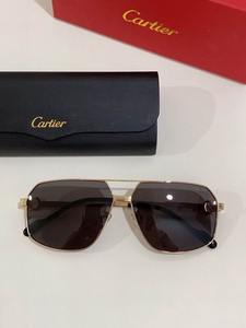 Cartier Sunglasses 801